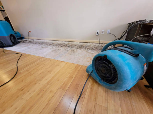 Professional Flood Damage Cleanup technician working in Line Lexington, PA